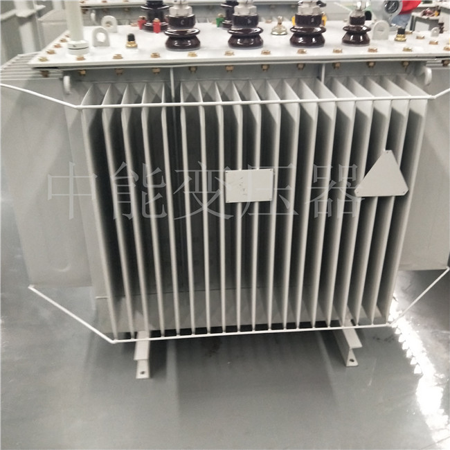 湖州S20-800KVA变压器